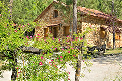 Entorno de nuestras casas