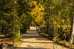 Entrada a nuestras casas rurales