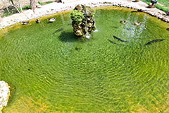 Fuente de las truchas
