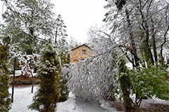 Nevada en el Ojico