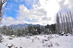 Nevada en el Ojico