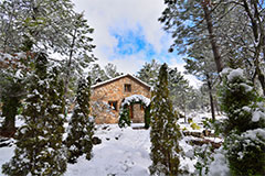 Nevada en el Ojico