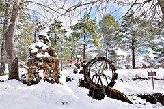 Nevada en el Ojico