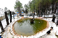 Nevada en el Ojico