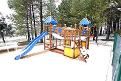 Nevada en el Ojico